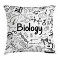 thumbnail image 1 of Biology Throw Pillow Cushion Cover, Doodle Hand-writing Elements School Education Molecules Bacteria Chemistry Lab, Decorative Square Accent Pillow Case, 24" X 24", Black and White, by Ambesonne, 1 of 2