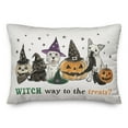 thumbnail image 2 of Creative Products Witch Way to Treats 14 x 20 Spun Poly Pillow, 2 of 9