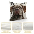 thumbnail image 4 of Qinduosi Cute Pets Dogs Decorative Throw Pillow Covers, Don't Always Have Wings Sometimes They Have Paws Cushion Covers Pillow Case for Sofa Car Bedroom Decor White, 4 of 5