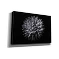 thumbnail image 2 of Epic Graffiti 'Backyard Flowers In Black And White 20' by Brian Carson, Giclee Canvas Wall Art, 26"x18", 2 of 8