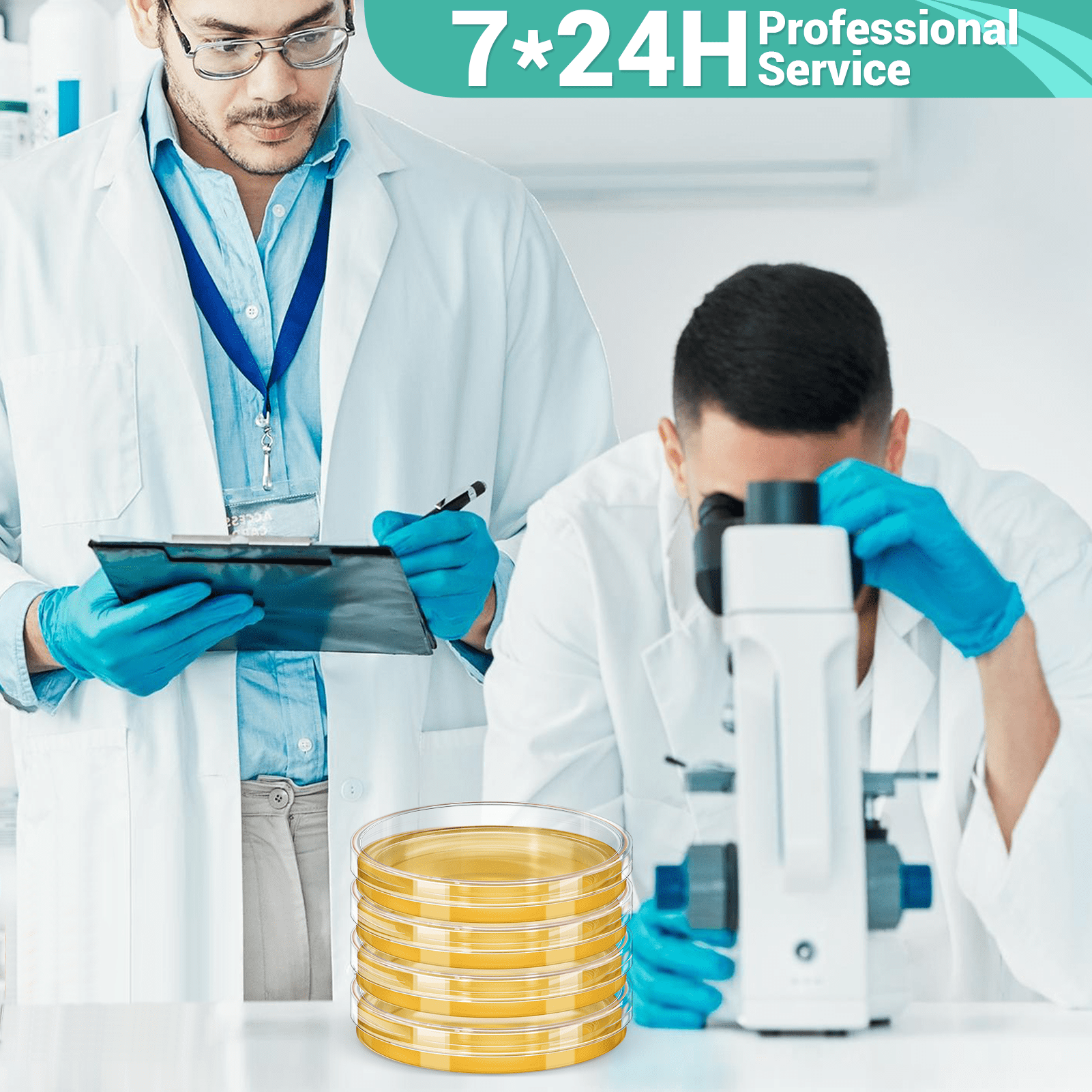 Mold Test Kit for Home Detection: 12 Simple DIY Hong Kong | Ubuy