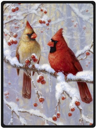 cardinal bird slippers