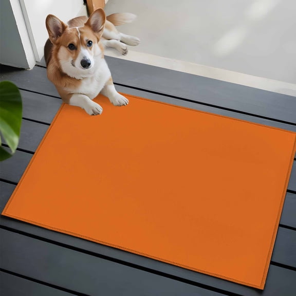 Orange Washable Area Rug 2x3 Solid Color Low-Profile Area Rugs with Non Slip Backing Indoor Floor Carpet for Entrance Living Room Bedroom Home Office
