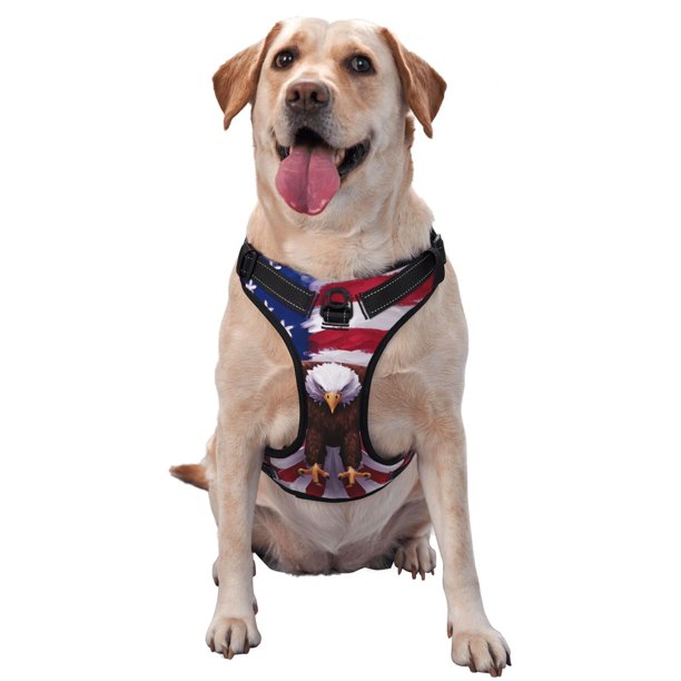 Balery USA Eagle with Spread Wings Arnés para Perros Grandes Antitirones, Arnés con Correa para Gato, Arnés Tipo Chaleco para Perros Pequeños-Medium
