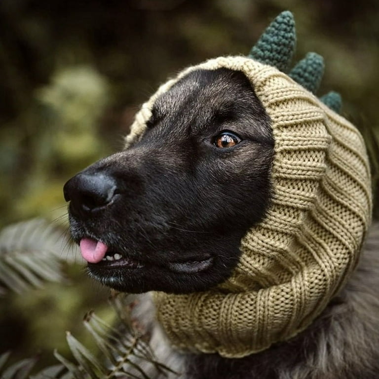 Pet Cat Dog Warm Windproof Knit Hat Head Cover Dinosaur Dog