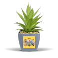 thumbnail image 1 of Japanese Travelling Recommendation Fake Pineapple Flower Pot Vase Mini Decor, 1 of 3