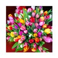 thumbnail image 1 of 5D bricolaje diamante pintura tulipanes completo redondo taladro mosaico Rhinestone imagen decoración Hugtrwg Para estrenar, 1 of 9