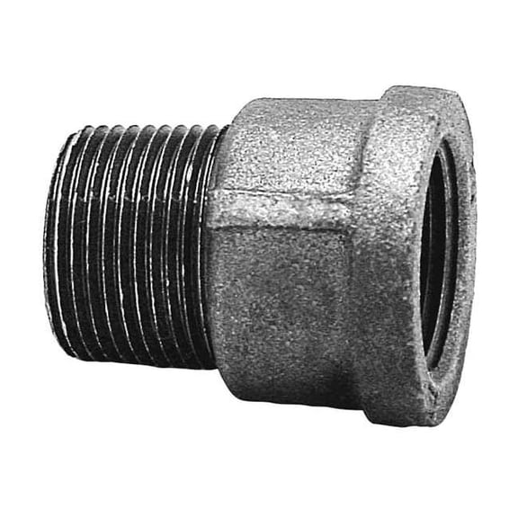 Extender Extension, 1" Pipe, FNPT x MNPT, Malleable Iron, Class 150