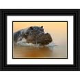 thumbnail image 1 of Chang, Phillip 32x23 Black Ornate Wood Framed with Double Matting Museum Art Print Titled - The rise of the hippo, 1 of 4