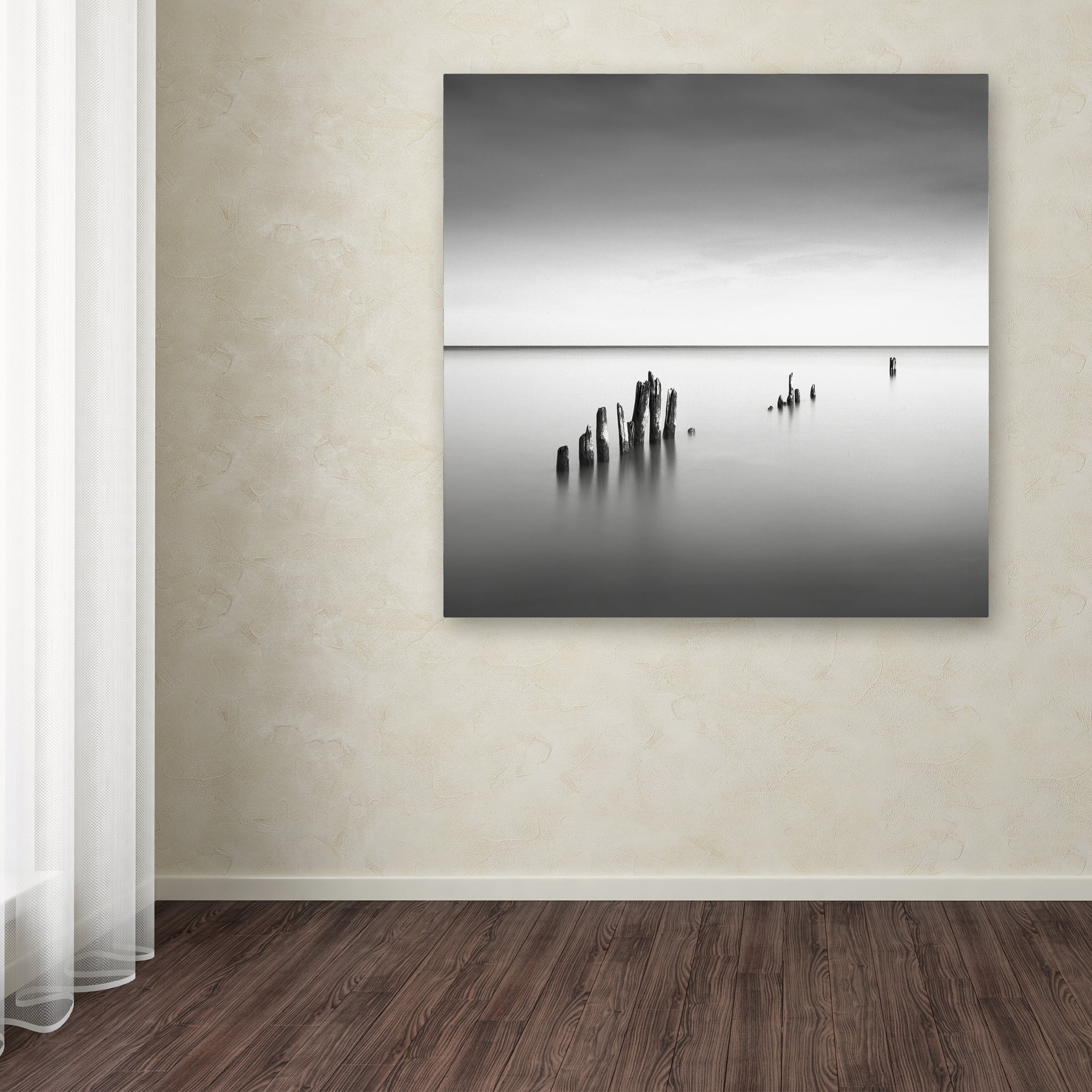 Trademark Fine Art "Slow Fade" Canvas Art by Dave MacVicar
