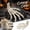 A001- Black Poseable Skeleton Hand, variant on Halloween Skeleton Hand Decoration with Poseable Fingers and Wrist Bones, Creepy Plastic Skeleton Decor for Haunted House Party Table Centerpiece, Gothic Horror Birthday Gift 1