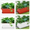 thumbnail image 4 of 3pcs Resin Rectangular Planting Pot Drainage Hole Vegetable Flower Planter Home Garden Plant Tray Red 50x21x14cm, 4 of 10