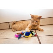 Vibrant Life Catnip Feather Bird Cat Toys, Parrot and Toucan, 2 Count