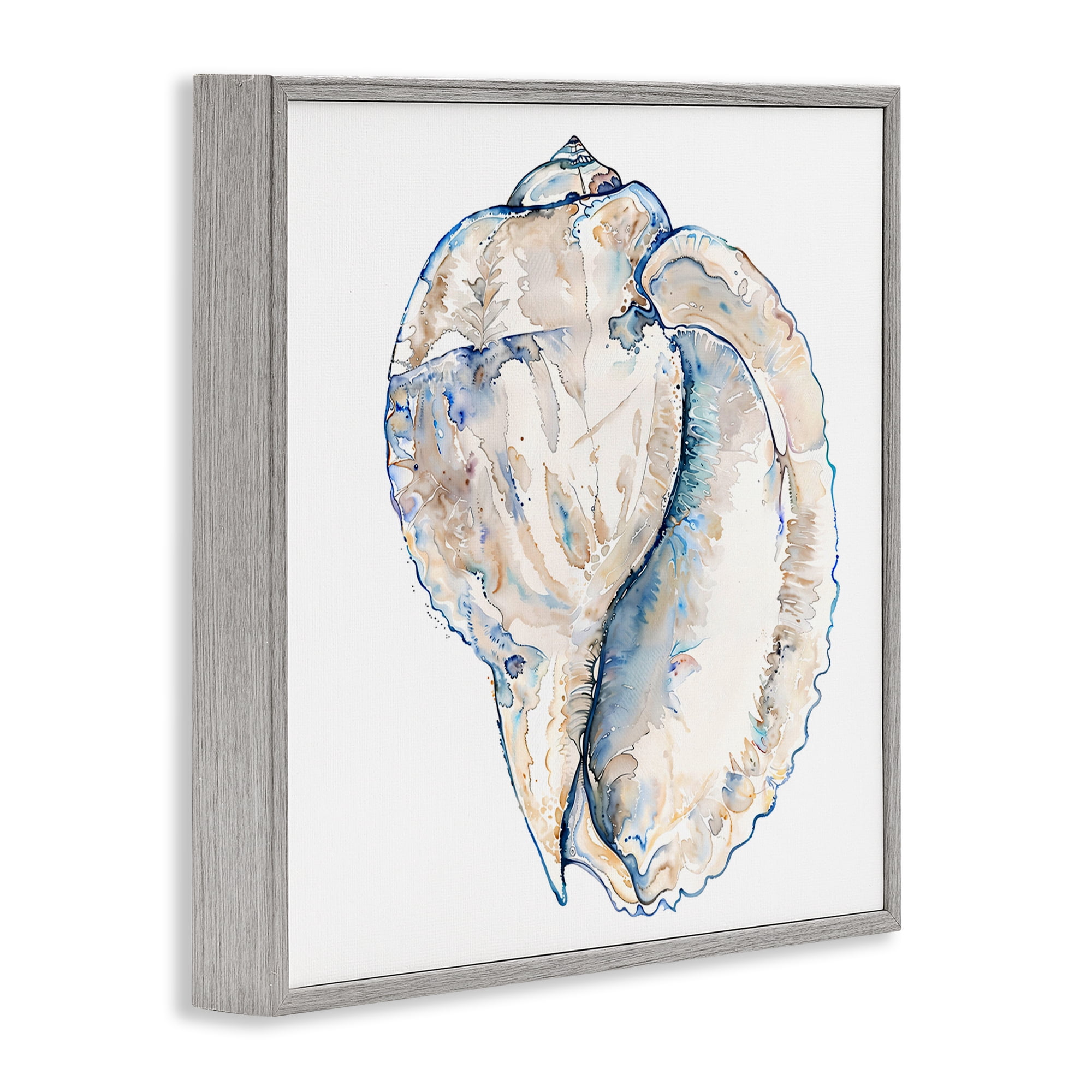 Stupell Industries Conch Shell on White Coastal Painting Gray Framed Art Print Wall Art, 24 x 24