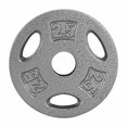thumbnail image 1 of CAP Barbell Standard Cast Iron 1-inch Weight Lifting Grip Plate, 2.5 lb, Single, Grey, 1 of 4