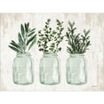 thumbnail image 2 of Great Art Now Herb Trio by Lettered & Lined, Framed Wall Art, 24W x 18.75H, 2 of 2