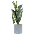 thumbnail image 4 of Artificial Monstera Plant Fake Potted Greenery Bonsai for Home Indoor Outdoor Decoration Realistic Simulation Plant, 4 of 4