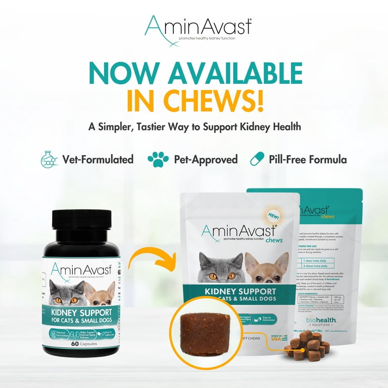 AminAvast Kidney Support for Cats & Dogs, Restore Health Urinary