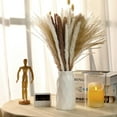 thumbnail image 3 of 190 Pieces Pampas Grass Dried Pampas Grass Arrangement, White Pampas Grass Decoration, Natural Dried Feather Grass, Natural Bunny Tail Dried Grasses for Wedding Home Decor (Boho Style), 3 of 5
