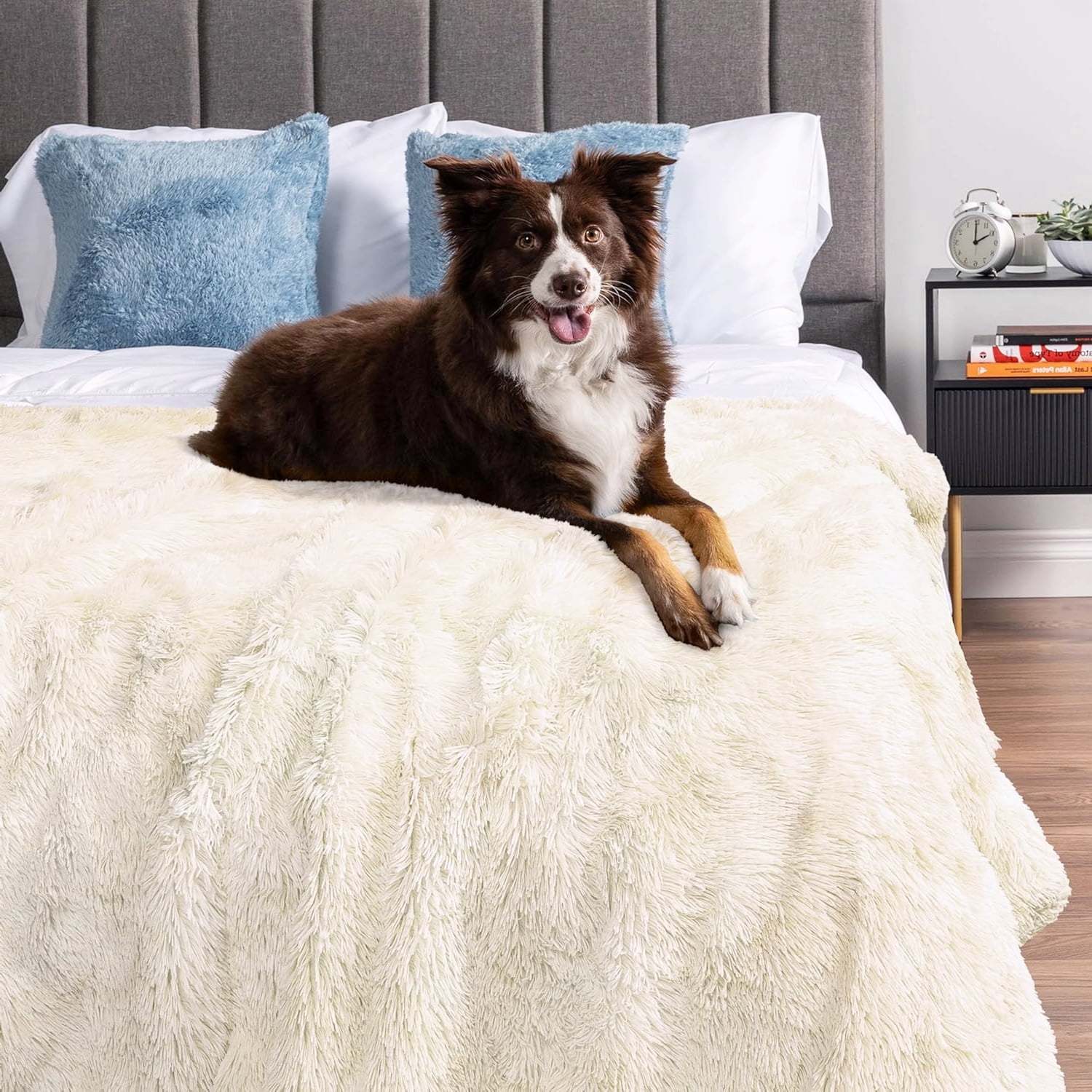 Ultra-Soft Pet Blanket in Cream Beige, Washable Protector for Large Dogs 60x80