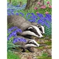 thumbnail image 1 of Carolines Treasures ASA2021GF Badgers Drapeau Jardin Taille, 1 of 3