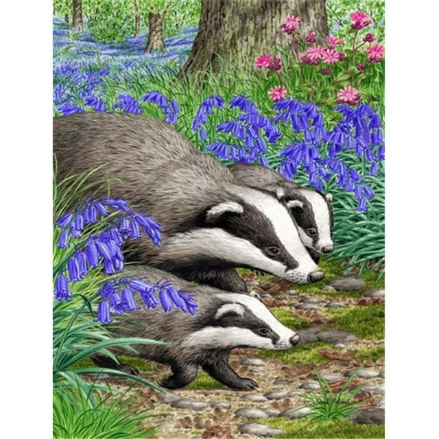 Carolines Treasures ASA2021GF Badgers Flag Garden Size