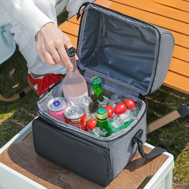 Birdeem Insulated Lunch Box,Waterproof Lunch Bag with Adjustable Shoulder Strap,Portable Cooler Bag Freezable for Keeping Food Hot Or Cold,Large Capacity 10X9.5X8 Inches for Adults Picnic Camping