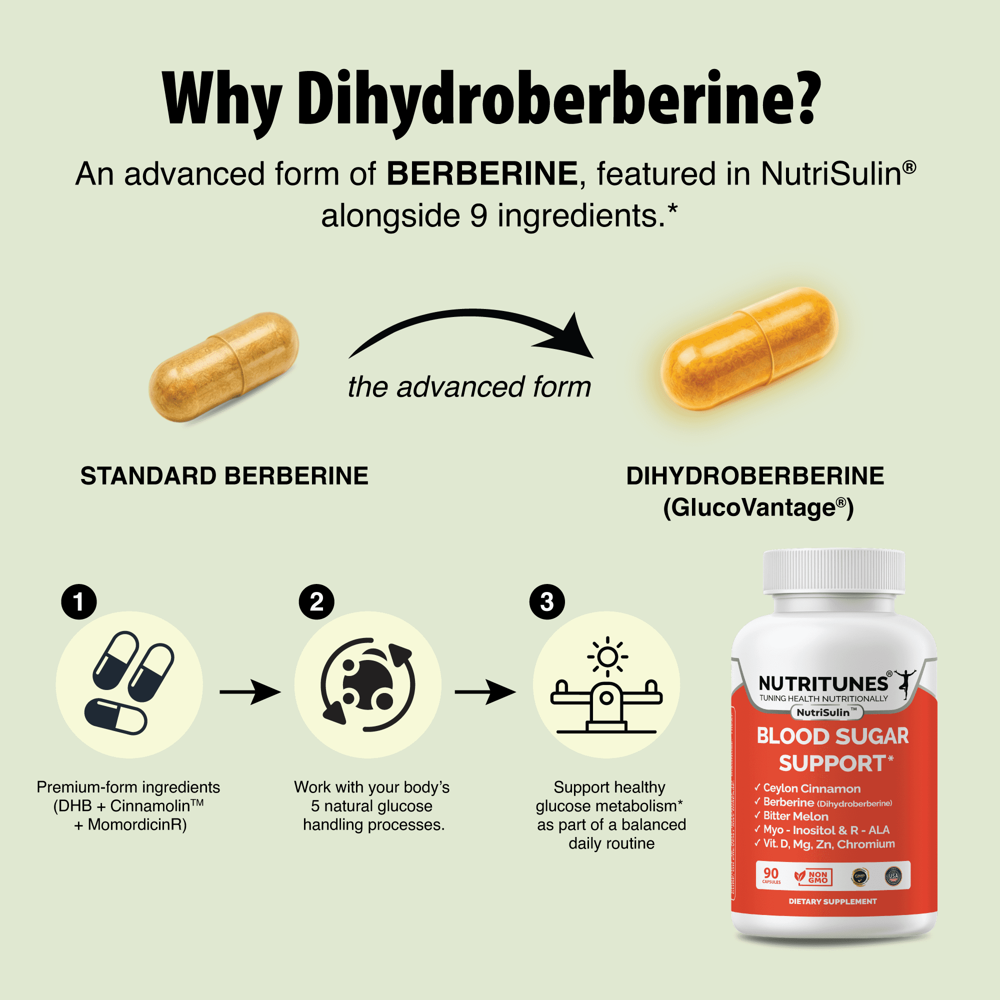 NutriTunes NutriSulin Blood Sugar Support Supplement with Dihydroberberine & Ceylon Cinnamon, 9-in-1 Formula, 90 Capsules