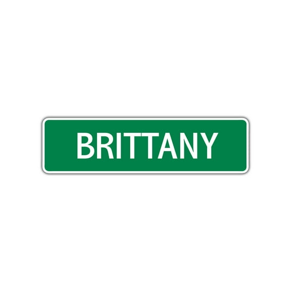 Brittany Girls hildren Name Letter Printed Plaque Novelty Wall Decoration Label Indoor Outdoor Unique Aluminum Metal Sign 4"x13.5"