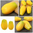 thumbnail image 4 of Miangastore 2 Pcs Mousses de Modèle de Patate Réalistes Aide Éducative pour l'Éducation Préscolaire, 4 of 8