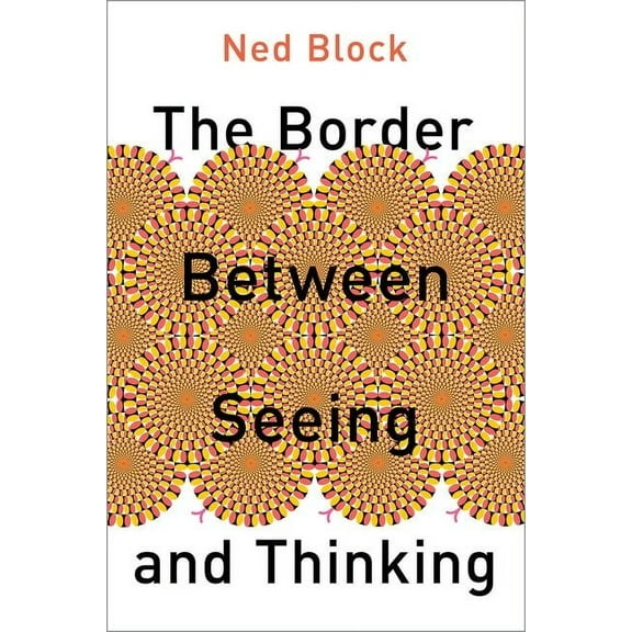 Philosophy of Mind The Border Between Seeing and Thinking, (Hardcover)