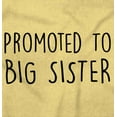 thumbnail image 2 of Promoted Big Sister Expecting Sibling Youth T Shirt Tee Girls Infant Toddler Brisco Brands 5T, 2 of 5