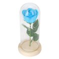 thumbnail image 4 of Rose lámpara de escritorio cadena luz en cubierta cúpula romántica regalo San Valentín (azul oscuro), 4 of 8