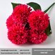 thumbnail image 2 of Ramo de flores artificiales de 5 cabezas Ceremonia de banquete de boda Decoración floral Tela de seda Flor falsa con hojas, Rosa kenally HA6561-05B, 2 of 6