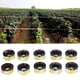 thumbnail image 5 of Cinta Reflectante Para Asustar, Cinta Respetuosa Con El Medio Ambiente Para Disuadir Pájaros Cinta Para Asustar Pájaros Para Proteger Cultivos Jardín, Barcos, Cubiertas Y Casas, 5 of 8