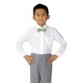 thumbnail image 5 of Spring Notion Boys' Cotton Floral Print Pre-tied Bow Tie, 5 of 5