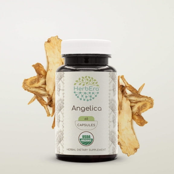 HerbEra Angelica Capsules, Organic Herbal Dietary Supplement for Digestive and Vitality Support, Certified Organic Angelica (Angelica archangelica) Dried Root Capsules, Natural, 60 Capsules