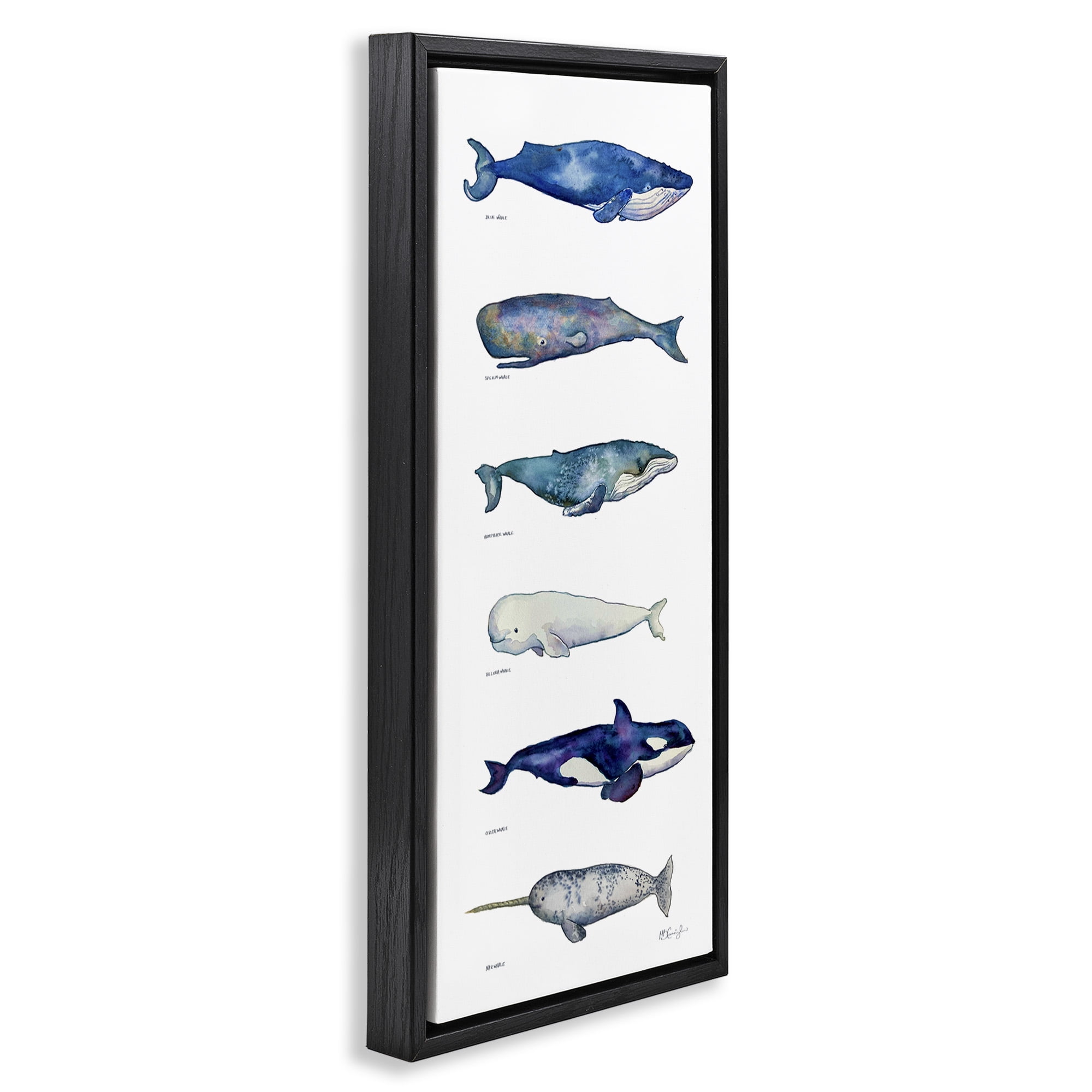 Stupell Industries Maritime Sea Life Chart Animals & Insects Painting Black Floater Framed Canvas Art Print Wall Art, 15 x 31