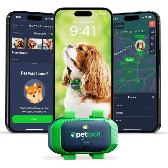 Petloc8 GPS Pet Tracker for Dogs – Collar Fit, Long Battery, Water-Resistant, Geofencing, Location History (Subscription Required)