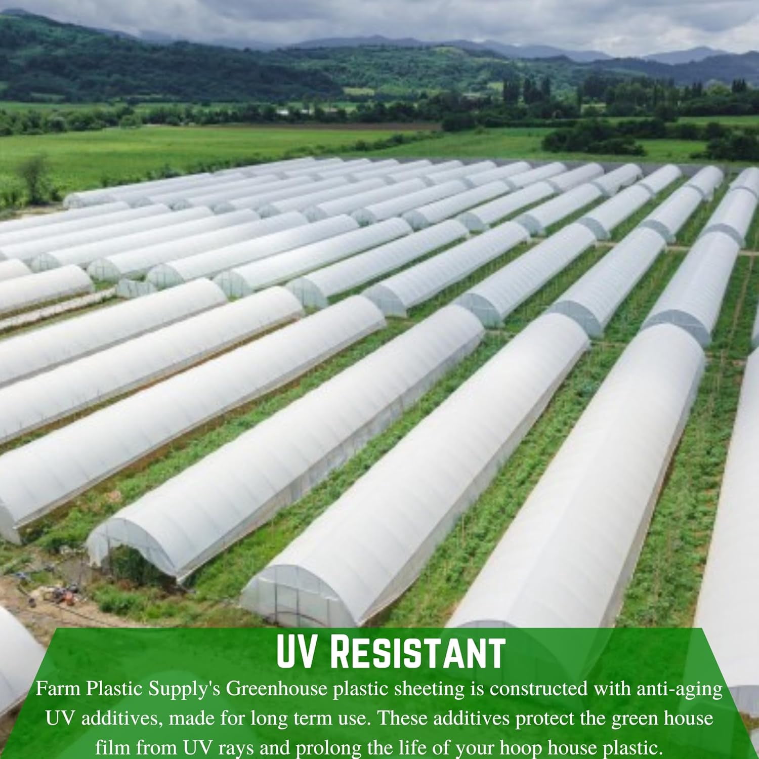 Farm Plastic Supply - String Reinforced 4 Year UV Resistant 10 mil White Greenhouse Plastic Sheeting - 4 Year UV Resistant Polyethylene Greenhouse Film, Hoop House Green House Cover (20' x 40')