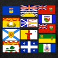 thumbnail image 3 of CafePress - Canadian Provinces Men's Football T Shirt - Mens Football Shirt, 3 of 4