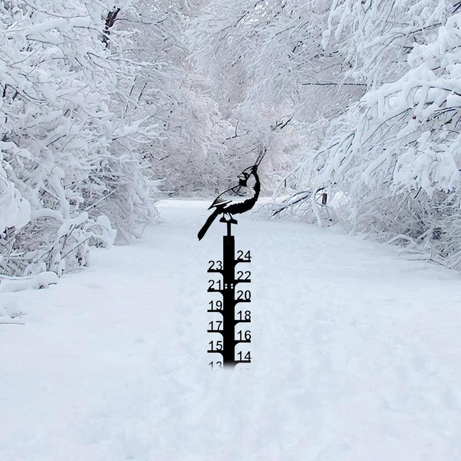 Snow Measuring Stick, 24inch Snow Gauge, Outdoor Measuring Gauge, Metal Detachable Snow Measuring Stick, Rain Gauge Garden Stakes for Yard, Lawn & Garden, Easy to Read