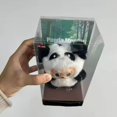 thumbnail image 5 of Caja ciega de la serie Labubu Panda Mentor de 17cm, muñeca de vinilo, llavero de adorno de moda recogido, réplica 1:1, regalo de cumpleaños de alta calidad, 5 of 5