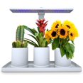 thumbnail image 1 of LAICAIW Plant Light for Indoor Plants Table Grow Light Desk Grow Light Grow Light for Potted Plants Indoor Grow Light Desk Grow Lights for Indoor Plants Full Spectrum Desk LED Plant Light with 3912H, 1 of 6