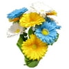 Potted White/Blue/Yellow Daisy