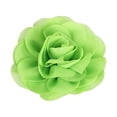 thumbnail image 1 of Inteprter Abalorios para perros, flor, perla, gasa, pajarita para gatos, banda elástica, suministros llamativos para mascotas, accesorios de Decoración Pasto verde, 1 of 6