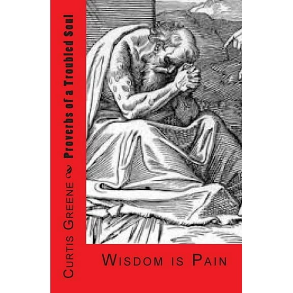 Proverbs of a Troubled Soul: Wisdom Is Pain (Paperback)