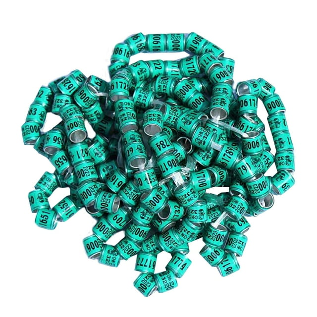 Anillos de pierna de paloma 100 Piezas 2021 Aluminio Multicolor Verde Sunnimix