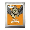 Grizzly Tarps 12 x 20 Feet Silver Heavy Duty Multi Purpose Waterproof Poly Tarp Cover 10 Mil Thick 14 x 14 Weave