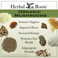 thumbnail image 3 of Herbal Roots Organic Mushroom Extract Supplement, 8 Species, 60 Vegan Capsules, 3 of 10